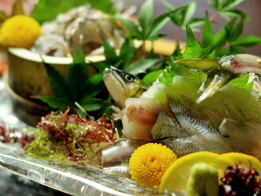 Hitoyoshi Ryokan Ngoại thất bức ảnh